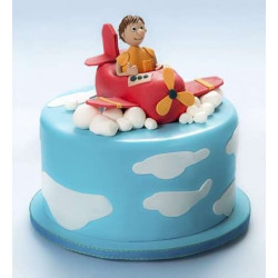Plane Pilot Cake