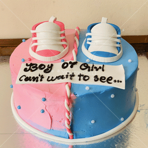 Boy Or Girl Cake