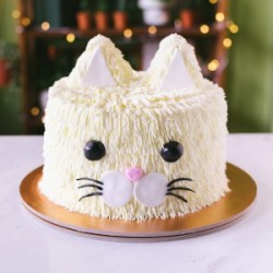 Kitty Face Cake