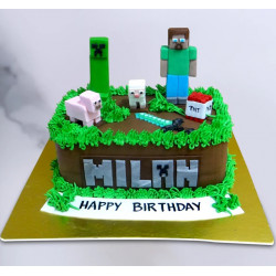 Minecraft Kids Cake 