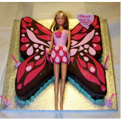 Butterfly Theme Cake