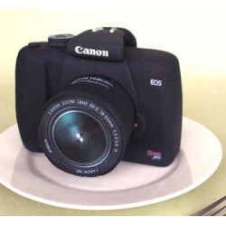 Canon Camera Cake