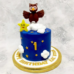 Star And Owl Cake